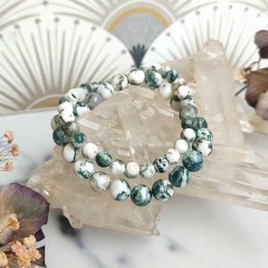 Tree Agate beads bracelet